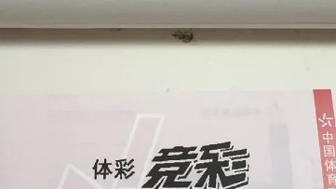 避开这些误区全球市，亚博体育下载，场第二季度环比增长559，历史新高